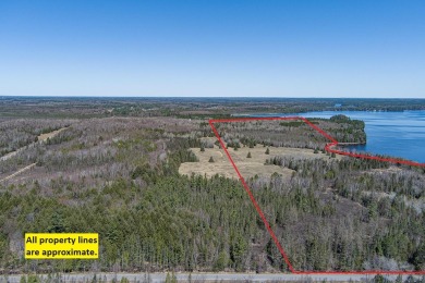 Lake Acreage For Sale in Three Lakes, Wisconsin