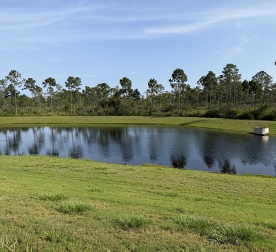 LOT 49 Watersound Camp Creek. 129 ft at waterfront. 0.41 acres - photo 2