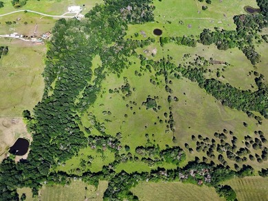 YOUR OWN SLICE OF HEAVEN! Two 30-Acre Tracts in the HIGHLY - photo 23