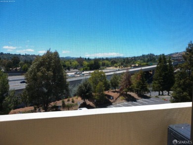 Fabulous Luxury Montecito Condo - Downtown Walnut Creek living - photo 23