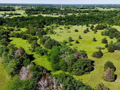 YOUR OWN SLICE OF HEAVEN! Two 30-Acre Tracts in the HIGHLY - photo 24