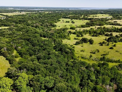 YOUR OWN SLICE OF HEAVEN! Two 30-Acre Tracts in the HIGHLY - photo 26