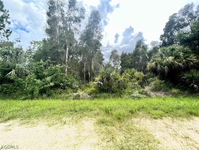 (private lake, pond, coastal) Lot For Sale in Punta Gorda Florida