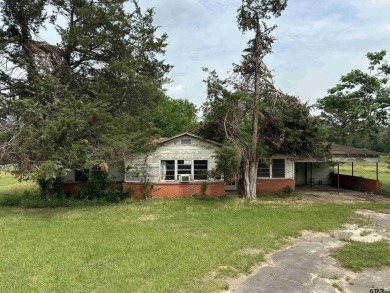 Lake Home For Sale in Hawkins, Texas