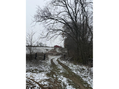 (private lake, pond, creek) Acreage For Sale in Cynthiana Kentucky