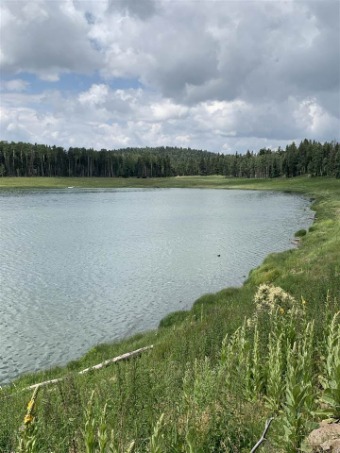 Lake Acreage Off Market in Angel Fire, New Mexico