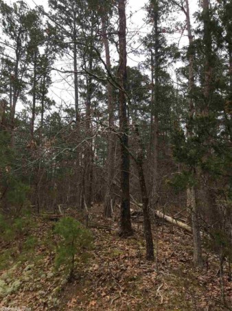 Greers Ferry Lake Lot For Sale in Quitman Arkansas