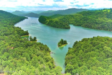 Lake Lot For Sale in Tazewell, Tennessee