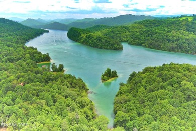 ~One of the most AFFORDABLE LAKEFRONT lots on Norris Lake!!! ~ - photo 3