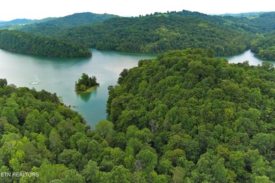~One of the most AFFORDABLE LAKEFRONT lots on Norris Lake!!! ~ - photo 4