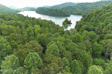 ~One of the most AFFORDABLE LAKEFRONT lots on Norris Lake!!! ~ - photo 5