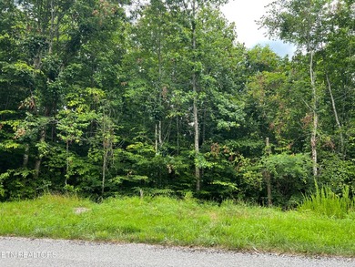 ~One of the most AFFORDABLE LAKEFRONT lots on Norris Lake!!! ~ - photo 7