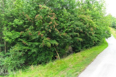 ~One of the most AFFORDABLE LAKEFRONT lots on Norris Lake!!! ~ - photo 8