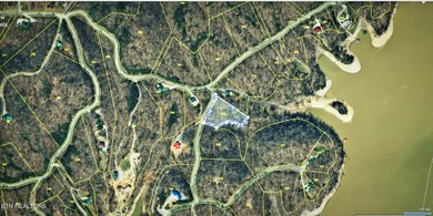 ~One of the most AFFORDABLE LAKEFRONT lots on Norris Lake!!! ~ - photo 10