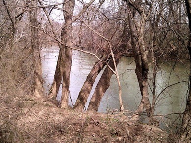 (private lake, pond, coastal) Acreage For Sale in Dalton Georgia