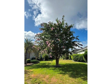 Exceptional value! Seller provides a one-year home warranty and - photo 45