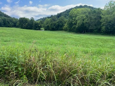 Cumberland River - Cumberland County Acreage For Sale in Burkesville Kentucky