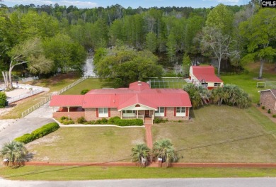Lake Home For Sale in Bamberg, South Carolina
