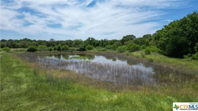 (private lake, pond, creek) Acreage For Sale in Waelder Texas