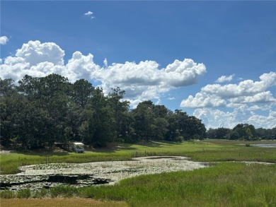 Lake Lot For Sale in Ocklawaha, Florida