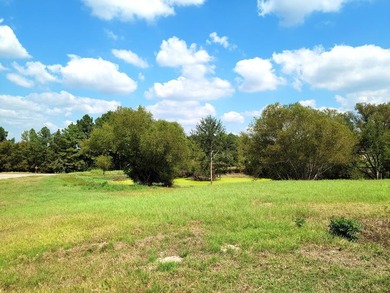 PRICED TO SELL! AMAZING OPPORTUNITY to purchase this Beautiful - photo 5