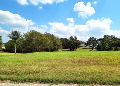 PRICED TO SELL! AMAZING OPPORTUNITY to purchase this Beautiful - photo 7