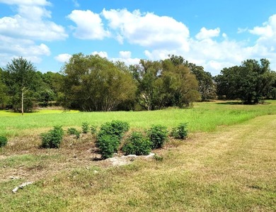 PRICED TO SELL! AMAZING OPPORTUNITY to purchase this Beautiful - photo 10