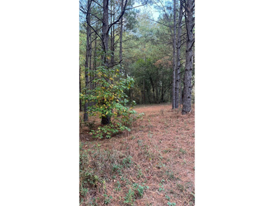 Nice Level Wooded Interior 0.25 Acre Lot located in Beautiful - photo 2