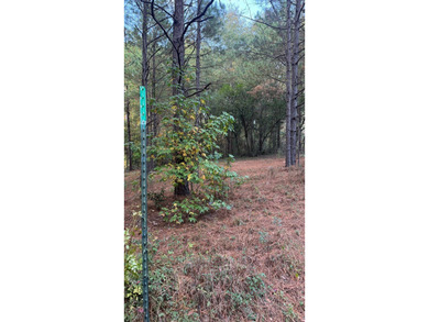 Nice Level Wooded Interior 0.25 Acre Lot located in Beautiful - photo 4