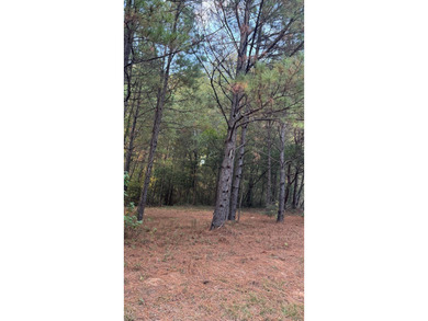 Nice Level Wooded Interior 0.25 Acre Lot located in Beautiful - photo 6