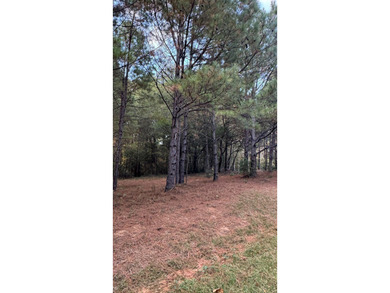 Nice Level Wooded Interior 0.25 Acre Lot located in Beautiful - photo 8