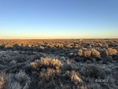 Lake Acreage For Sale in Christmas Valley, Oregon