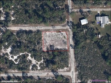 Lake Lot For Sale in Lake Placid, Florida