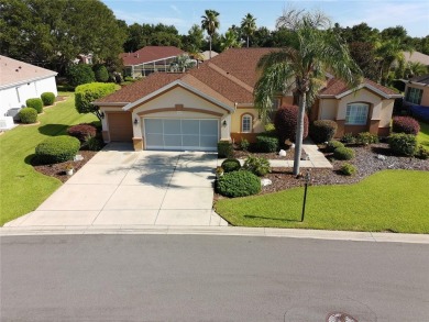 Lake Timarron Home For Sale in Summerfield Florida