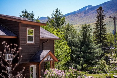 A rare Adirondack investment opportunity -- two fully - photo 1