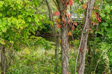 This exceptional parcel is positioned in the heart of Watervliet - photo 12