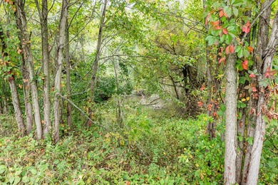 This exceptional parcel is positioned in the heart of Watervliet - photo 14