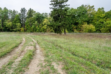This exceptional parcel is positioned in the heart of Watervliet - photo 19