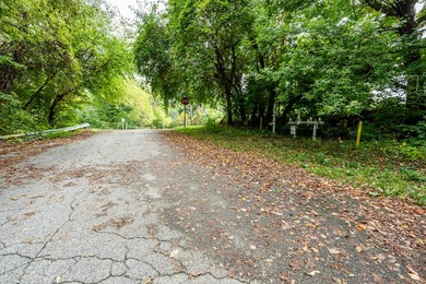 This exceptional parcel is positioned in the heart of Watervliet - photo 32