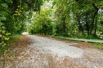 This exceptional parcel is positioned in the heart of Watervliet - photo 33