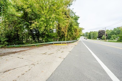 This exceptional parcel is positioned in the heart of Watervliet - photo 34