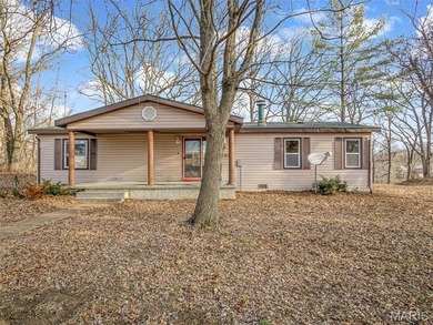 Lake Ronnie  Home For Sale in Waterloo Illinois