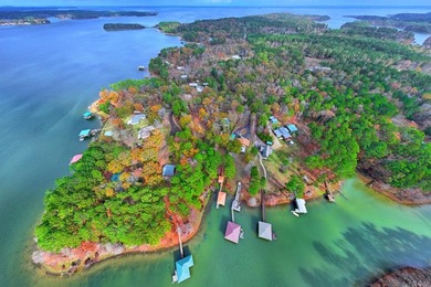 Toledo Bend Lake Home For Sale in Hemphill Texas