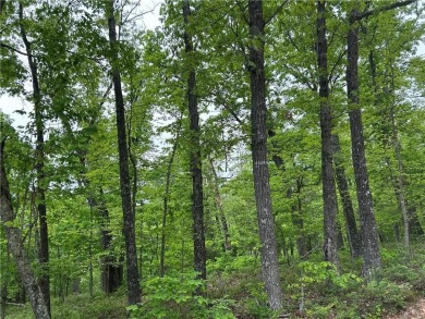 Lake Lot For Sale in Rogers, Arkansas
