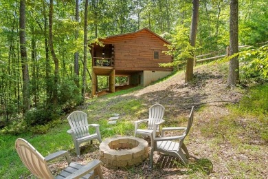 Cherry Log Lake Home For Sale in Blue Ridge Georgia