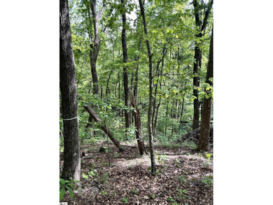 Luxury Live Auction! Bidding to start from $75,000! Set along a - photo 11