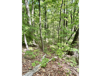 Luxury Live Auction! Bidding to start from $75,000! Set along a - photo 13