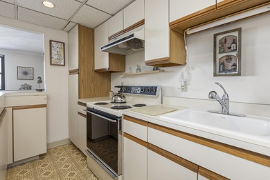 ''Million Dollar Views'' from this penthouse condominium at the