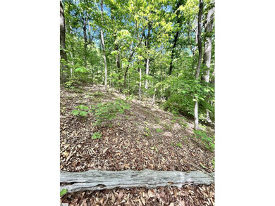 Luxury Live Auction! Bidding to start from $75,000! Set along a - photo 14