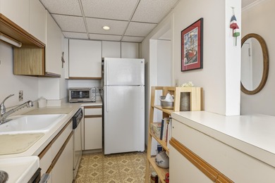 ''Million Dollar Views'' from this penthouse condominium at the